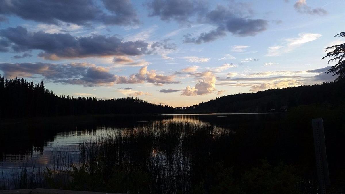 Logan Lake Lac Le Jeune Nature Resort المظهر الخارجي الصورة