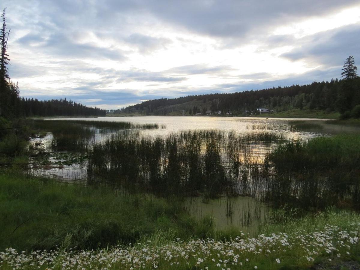 Logan Lake Lac Le Jeune Nature Resort المظهر الخارجي الصورة